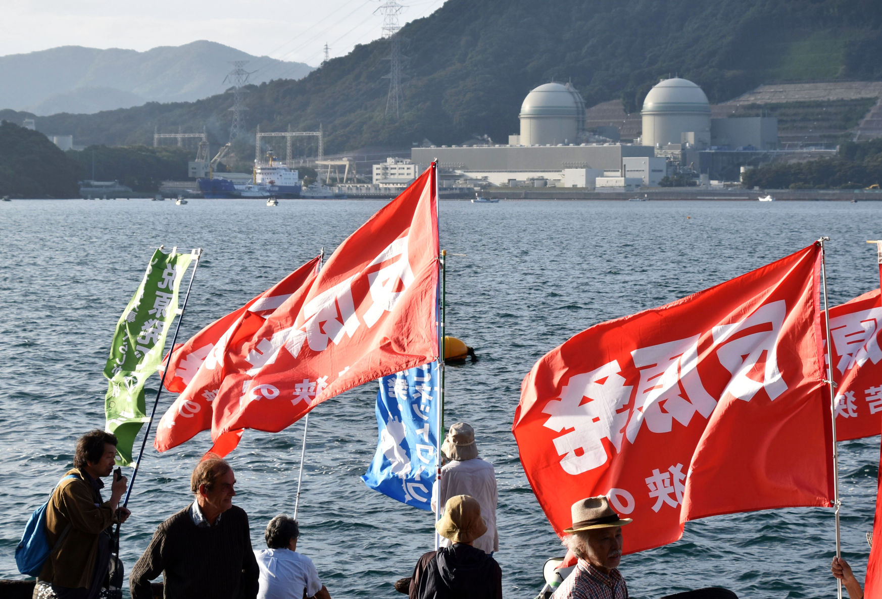 Japan Nuclear